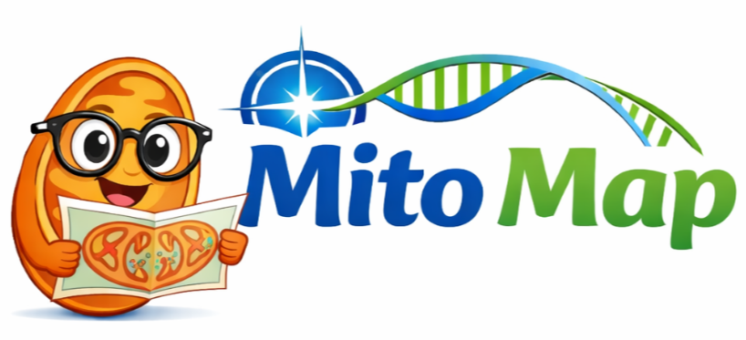 Mito Map logo